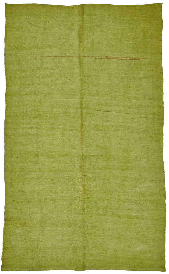 5x9 Green Over-dyed Hemp Kilim Rug - 50436